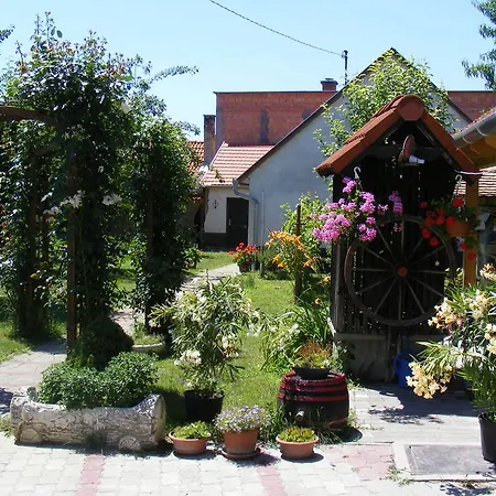 Duna Vendeghaz Mohács